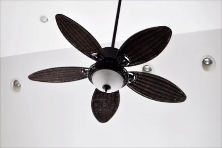 Ceiling Fan Repair